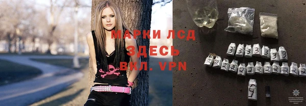 прущие грибы Абинск