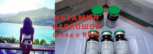 каннабис Корсаков