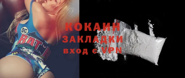 прущие грибы Абинск