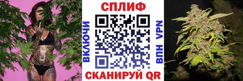 Шишки марихуана MAZAR  Терек 